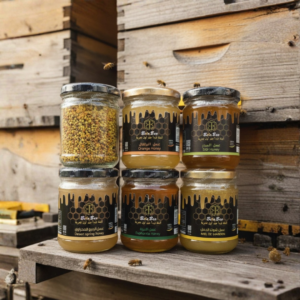 Design sans titre (3) Design sans titre (3)