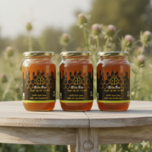 Gemini_Generated_Image_nk8pacnk8pacnk8p Gemini Generated Image nk8pacnk8pacnk8p