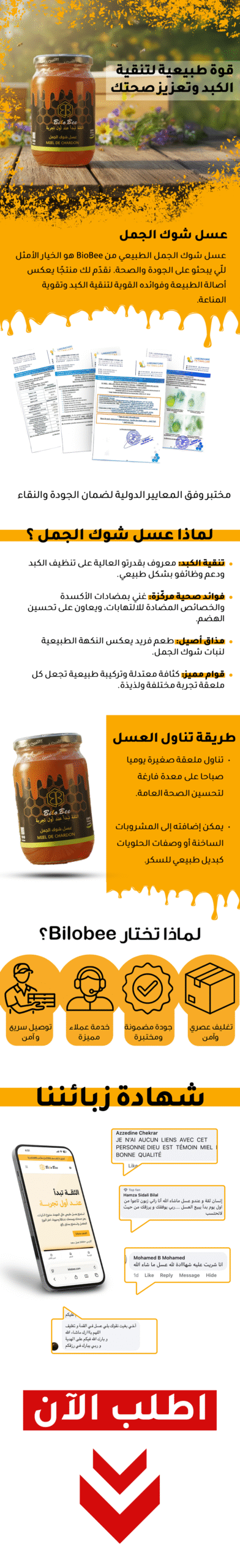 Lp شوك الجمل